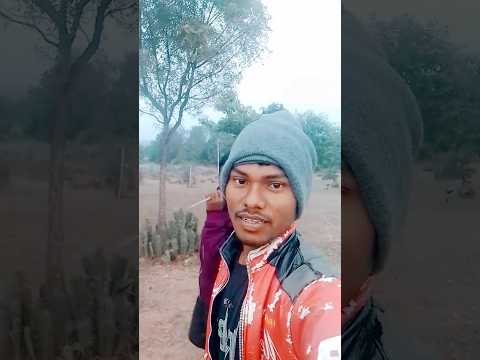 Akal sohrai//nes sohrai santhali short//Stephan tudu santhali#reels#virals#stephantudu