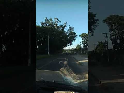 partiu Barra do Ribeiro RS