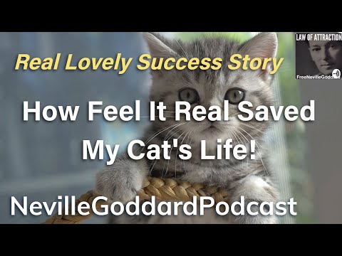 How Feel It Real Saved My Cats Life - PLUS $2,000 BONUS WIN! - Neville Goddard Podcast Success Story