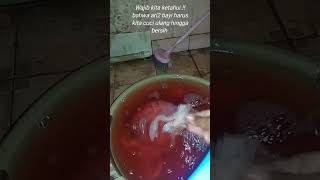 Download lagu Kenapa Ari Ari bayi harus dicuci bersih ?? begini mitosnya #ariaribayi mp3 Download lagu Kenapa Ari Ari bayi harus dicuci bersih ?? begini mitosnya #ariaribayi mp3