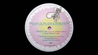 Future Perfect - Slam Dunk Funk [1995]