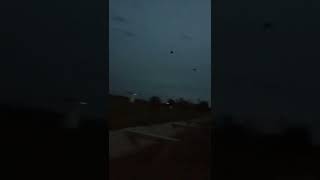 Download lagu suara belibis alis kuning joss ,, sudah uji lapangan langsung turun mp3