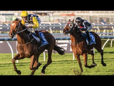 2017 BRC Darley Kingsford Smith Cup