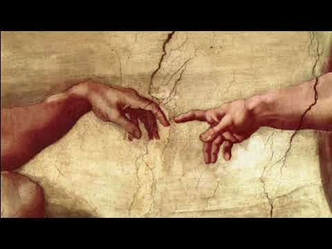 Joseph Haydn | The Creation | Die Schöpfung | No 5 | Classical Gold Music