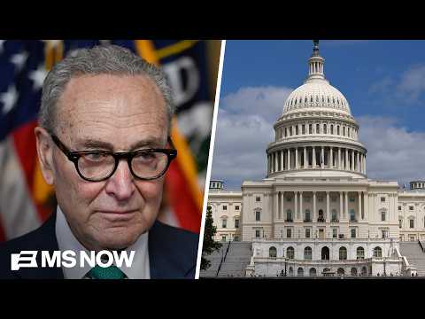 Senate is ‘very competitive’ but Democrats need things to ‘fall just right’: Larry Sabato
