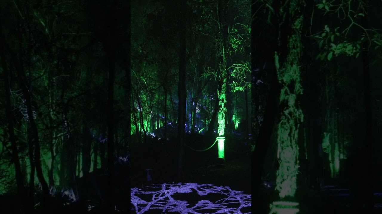 YouTube Short thumbnail