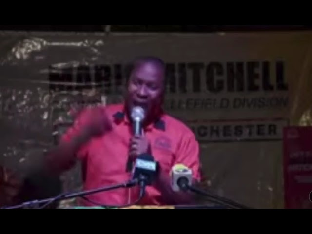 'Jamaica will become Haiti if PNP doesn't form next Gov't' says MP aspirant - Vimarsana News