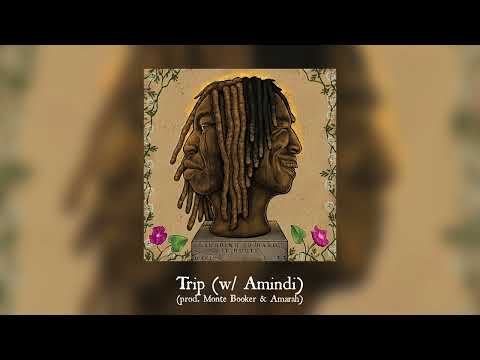 Video thumbnail for Trip