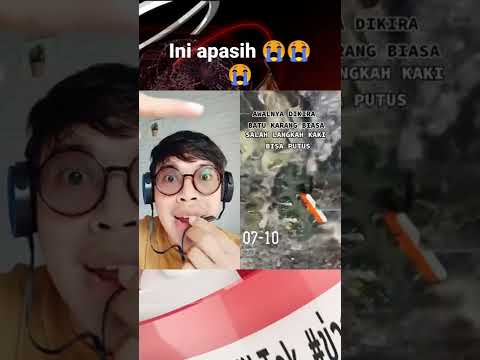 hi-guys-selamat-sore-semua-shorts-youtubeshort-videolucu