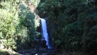 preview picture of video 'Cascades La Paz Waterfall Gardens à Alajuela'