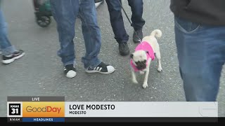 Love Modesto, 8am