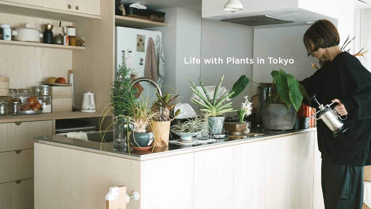 心地よく植物と暮らす。久しぶりに植物を迎え入れました | 週末朝ごはんと、三ツ星レストランでランチ | Vlog
