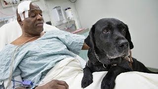 Blind man's tribute to guide dog after being run over by New York subway train