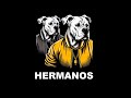 FREESTYLE Base De Rap Agresivo Instrumental De Rap Agresivo Pista De Rap Agresivo Rap Beat