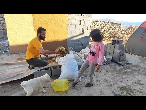 Nomadic Lifestyle Documentary: Master Salman and Janan in Nature