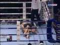 Aleksander Emelianenko vs Fabricio Werdum 