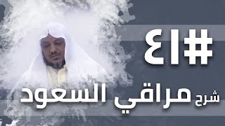 شرح مراقي السعود - 41 - الشيخ محمد محمود الشنقيطي image
