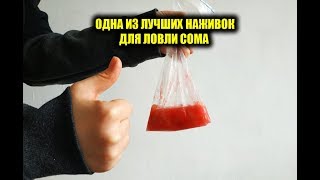Наживка под рукой для ловли сома