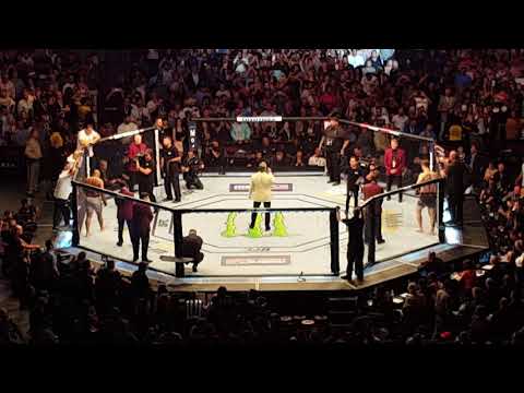 Introductions for the Superfight UFC 226 Main Event