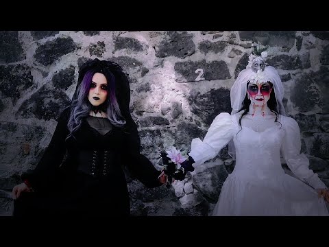 VIZE feat. Laniia - Stars (Skeler Remix/Music Video)