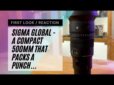 Unveiling the Sigma 500mm f/5.6: Compact Powerhouse in the Sports Series