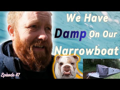 Damp on our Narrowboat - Episode 47