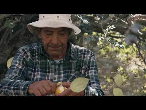 L-Aħħar Bidwi f'Wied Il-Għasel - Sammy Bartolo