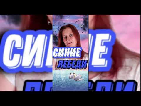 синие лебеди