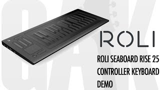 Roli Seaboard RISE 25 - What To Know & Where To Buy | Equipboard