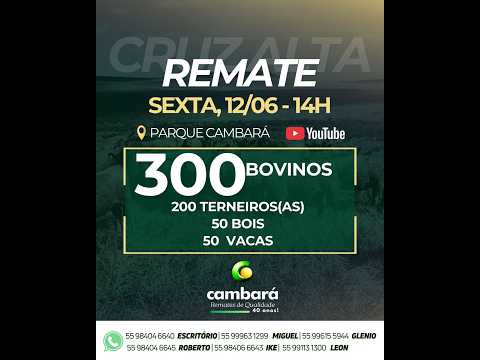 REMATE  - 12/06/2026 -  Cruz Alta / RS