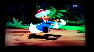 Kalle anka i djungeln