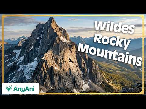 Wildes Rocky Mountains: Das lebendige Rückgrat Nordamerikas | Tierdokumentation