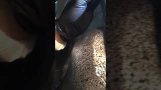 Moth Queen gets to be a little too much