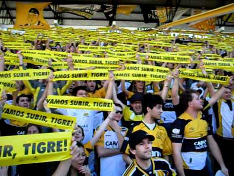"vamos subir, tigre !!dali dali tigreee !!" Barra: Os Tigres &bull; Club: Criciúma