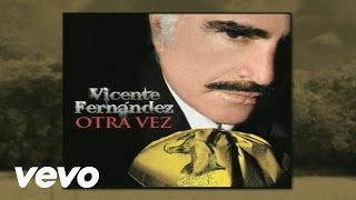 Vicente Fernández - Otra Vez (Cover Audio)
