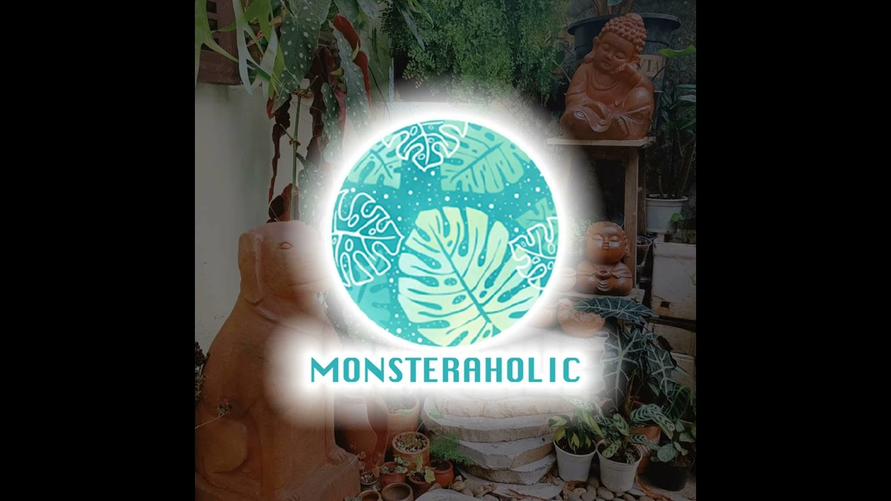 Garden Answer: Autumn Jazz Viburnum