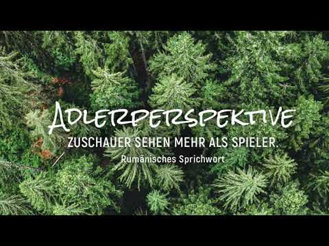 Coaching Tipp: DIE ADLERPERSPEKTIVE - mit Abstand neue Perspektiven einnehmen und Lösungen in sich selbst entdecken