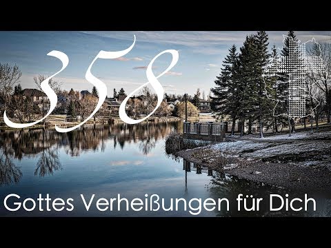 Gottes Verheißungen für Dich - Lukas 2,10 | Videokalender 358/365 - Deutschland braucht JESUS