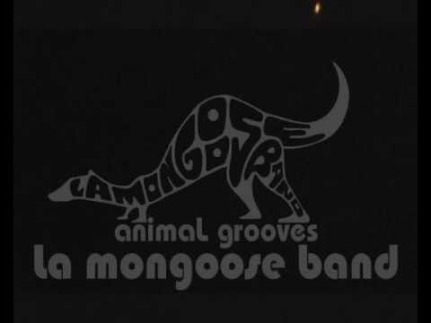 La Mongoose Band - 