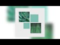 Anna Homler & Alessio Capovilla - Ricordo [Audio]