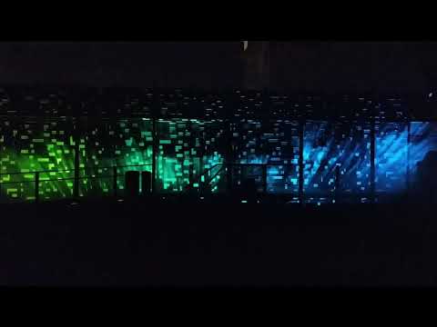 Wall Pattern Phenomena, 2019