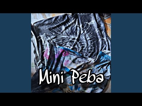 Mini Peba