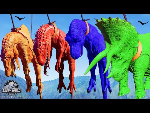 DINOSAUR TYRANNOSAURUS REX VS TRICERATOPS VS INDOMINUS REX VS SPINOSAURUS | JURASSIC WORLD EVOLUTION