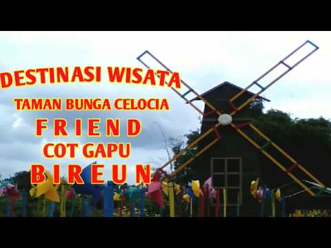 DESTINASI WISATA TAMAN BUNGA CELOCIA FRIEND COT GAPU BIREUEN