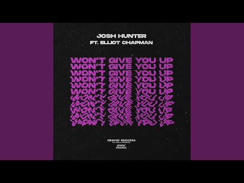 Won't Give You Up (Original Mix)