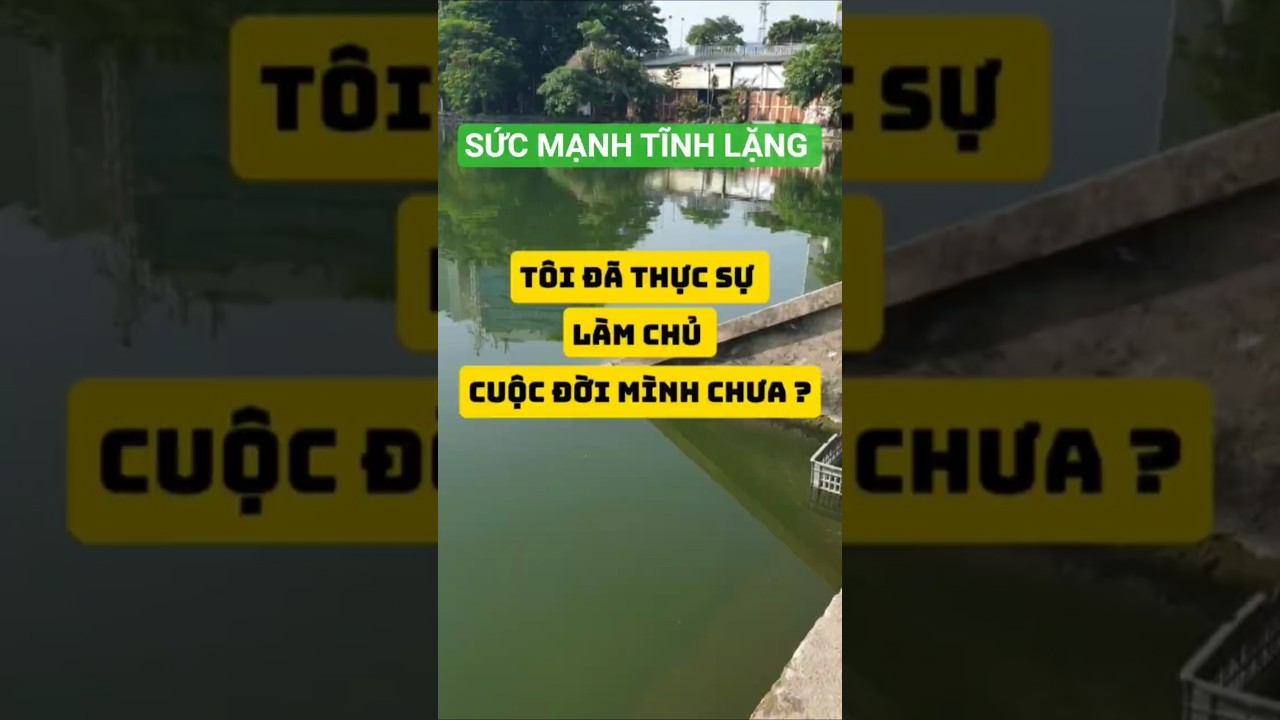 Kênh YouTube Coach Phạm Tùng