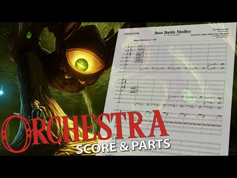 Zelda: Boss Battle Medley | Orchestral Cover
