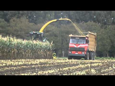 Loonw. Van Mulders - Baardegem