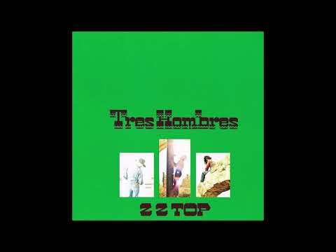 ZZ Top - La grange  - (BACKING TRACK GuitaR SOLO)🎸