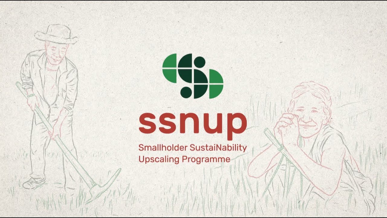 Explainer: SSNUP - the Smallholder SustaiNability Upscaling Programme